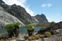 Ostafrika - Kenia - Tanzania: Mount Kenya und Kilimanjaro - Berglandschaft