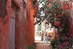 Senegal - Gambia: Land zwischen zwei Flüssen - Gang