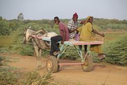 Senegal - Gambia: Land zwischen zwei Flüssen - Transport