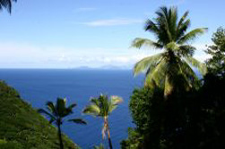 Mittelamerika - Martinique, Dominica und Guadeloupe: Regenwlder, Vulkane und Palmenstrnde auf den kleinen Antillen - Ausblick aufs Meer
