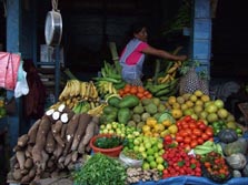 Südamerika, Peru - Bolivien - Brasilien: Transamazonica – von Cuzco in den Amazonas - Obst