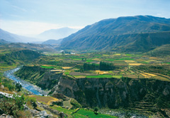 Sdamerika, Peru: Das Reich der Inka - Colca-Tal